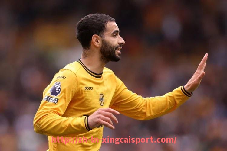 杏彩体育-法甲外援加入球队影响观察：战术调整与更衣室氛围变化