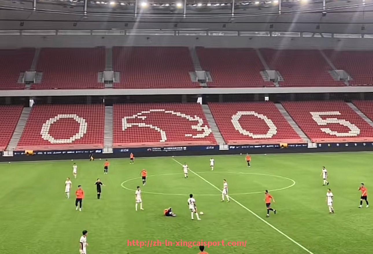 杏彩体育-法甲俱乐部目标设定及战略规划全景展望