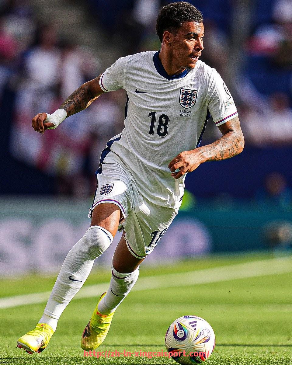 杏彩体育-德甲球队胸前星星的象征与历史背景