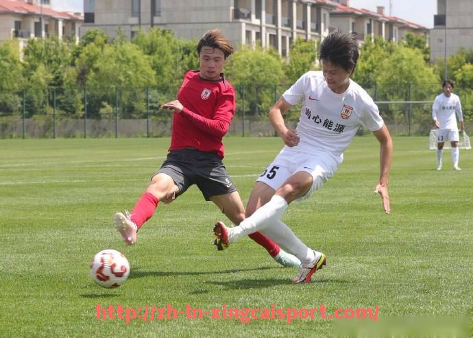 杏彩体育-世俱杯晋级赛况实时更新,关键比赛结果及晋级形势全面解析