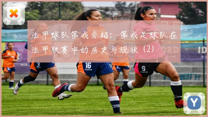 法甲球队第戎介绍:第戎足球队在法甲联赛中的历史与现状 (2)