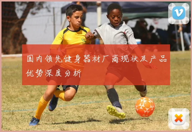 国内领先健身器材厂商现状及产品优势深度分析