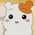 韶钥会
