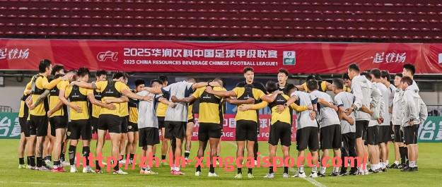 杏彩体育-2025年C罗加盟德甲俱乐部的传闻与事实真相全面解读