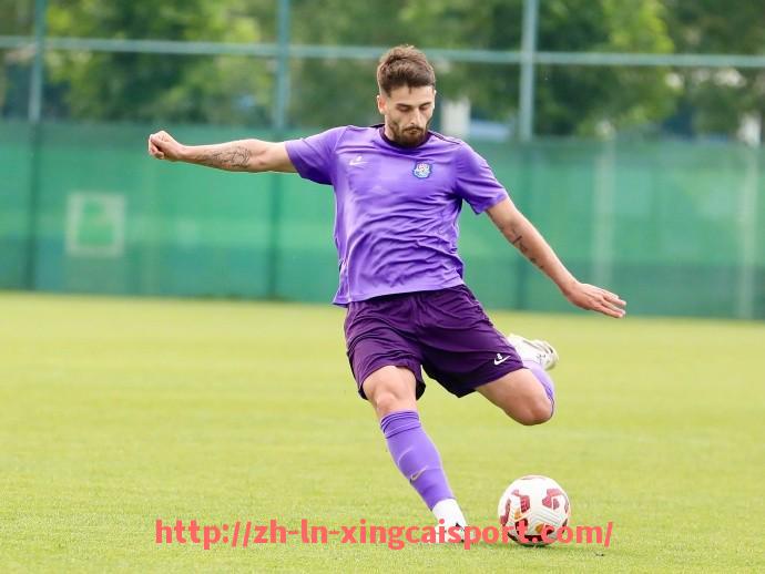 杏彩体育-2014年版英超球队队徽大全